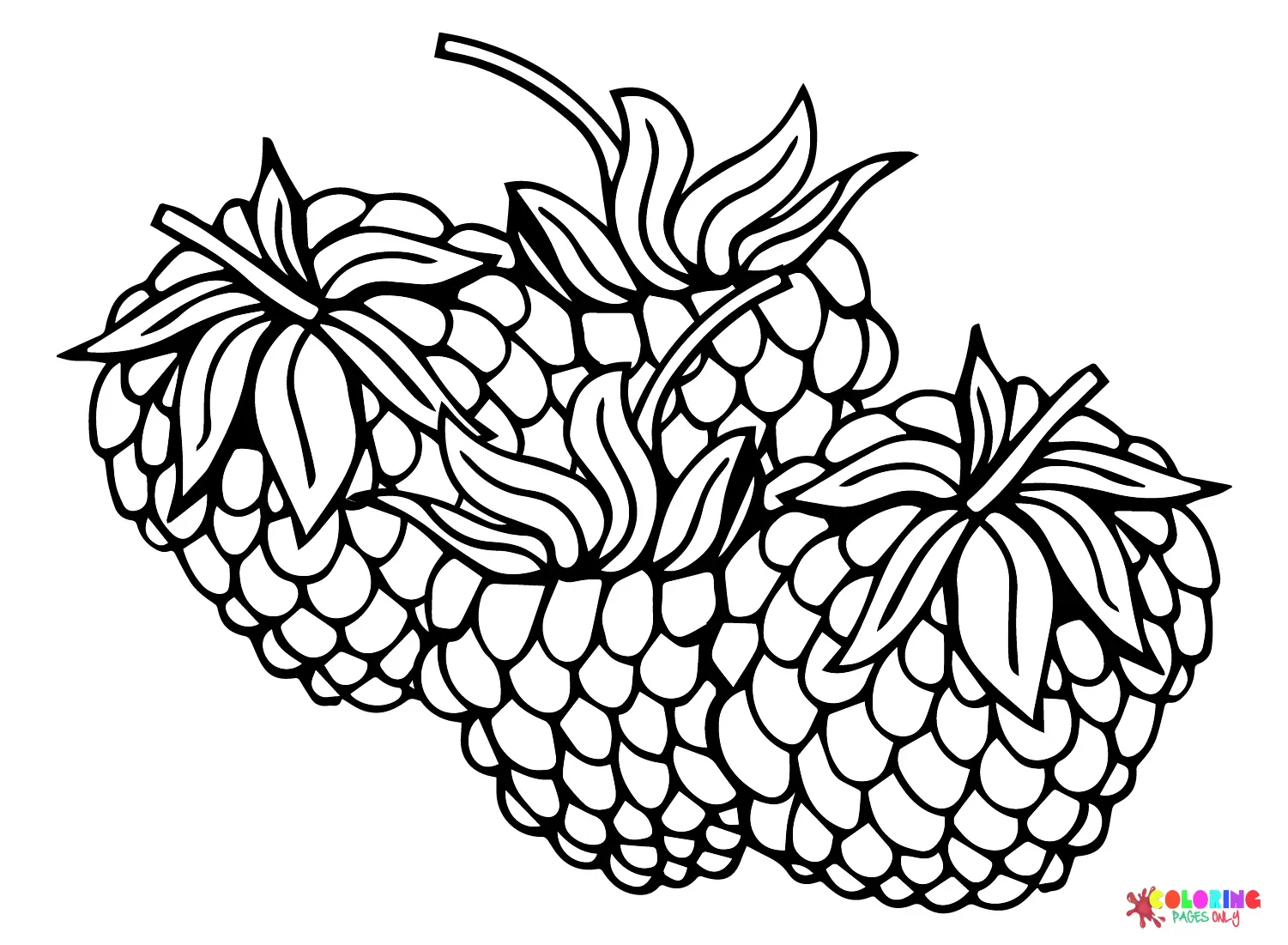 Blackberry Coloring Pages 2