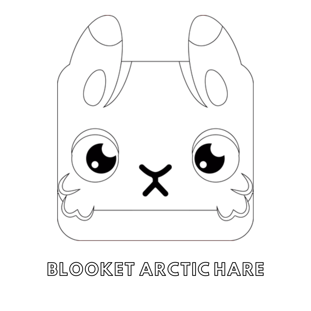 Blooket Ausmalbilder 3