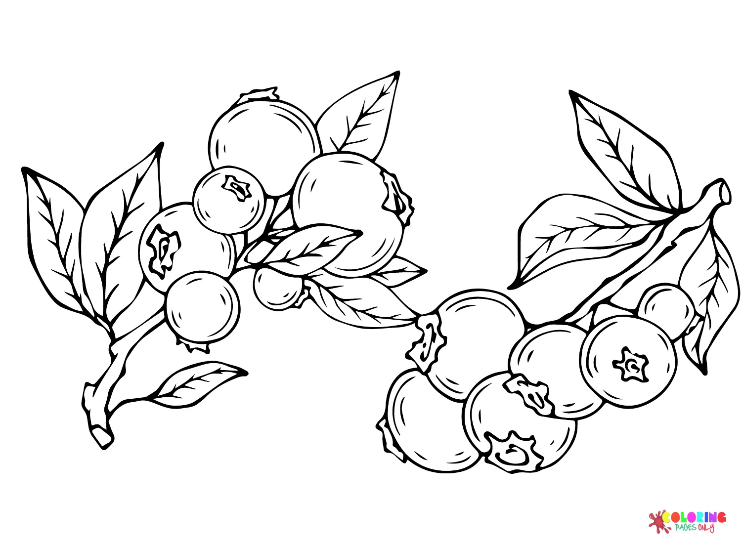 Blueberry Coloring Pages