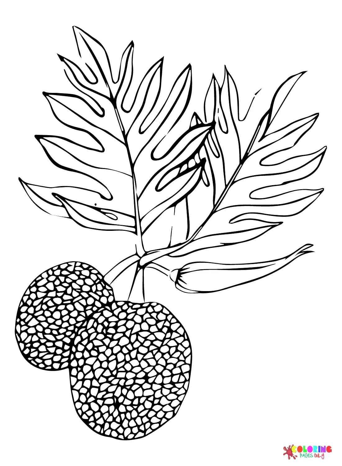 Breadfruit Coloring Pages