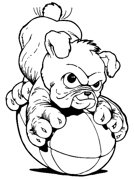 Desenhos de Bulldog Para Colorir 29