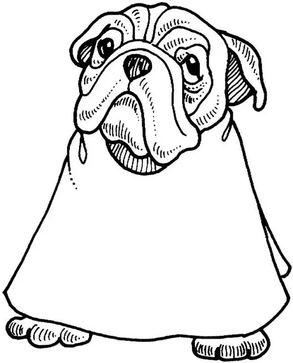 Bulldog Para Colorear