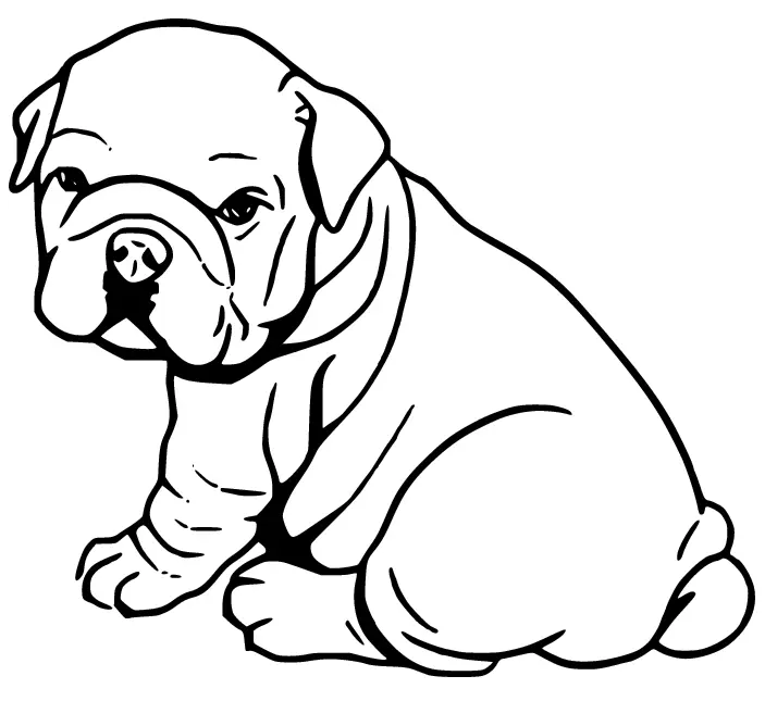 Desenhos de Bulldog Para Colorir 6