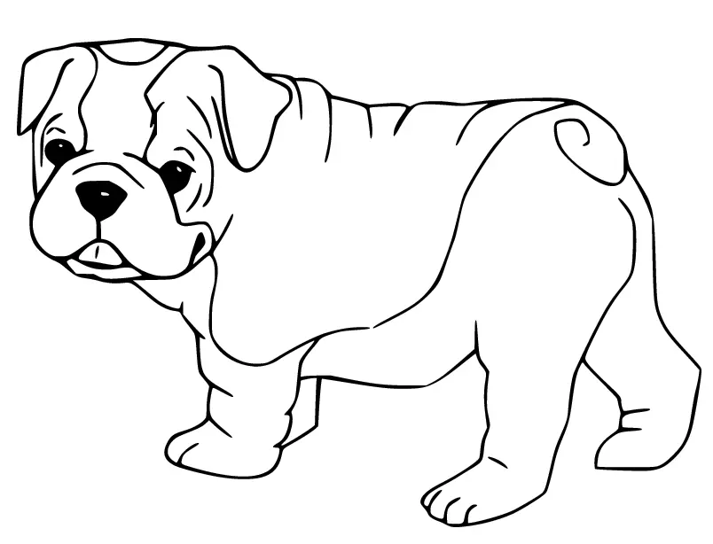 Desenhos de Bulldog Para Colorir 7