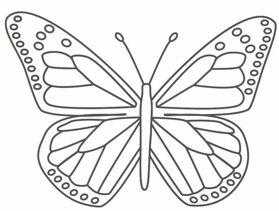 Butterfly Coloring Pages 1