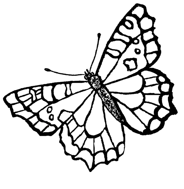 Butterfly Coloring Pages 15