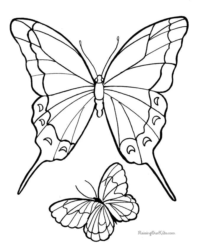 Butterfly Coloring Pages 36