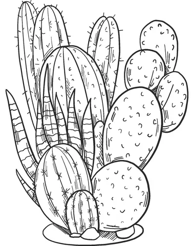 Cactus Coloring Pages 14