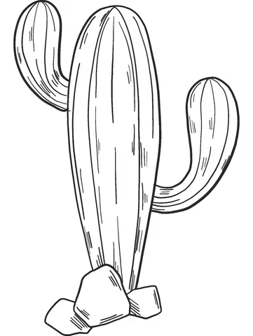 Cactus Coloring Pages 2