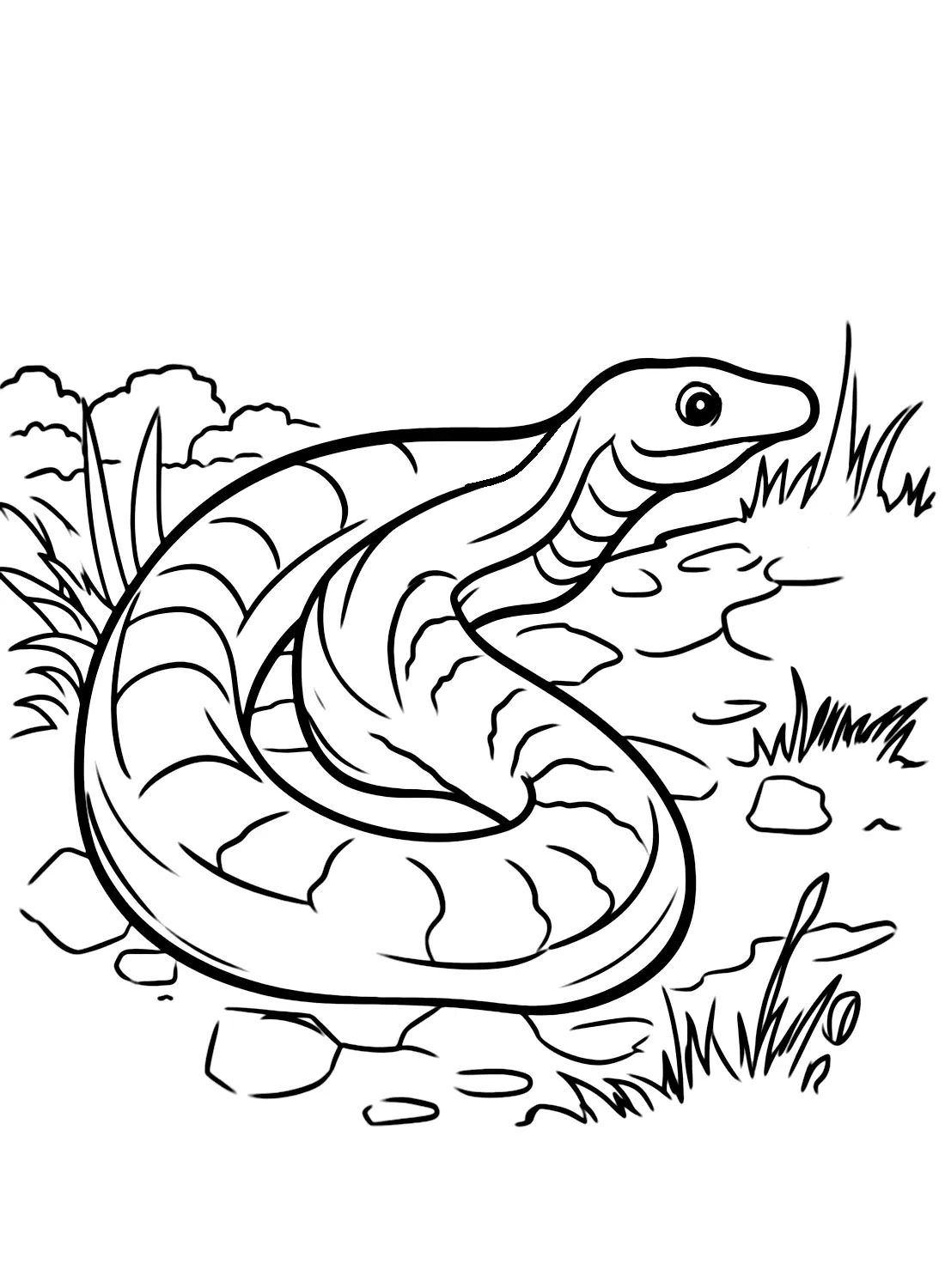 Caecilian Coloring Pages 2