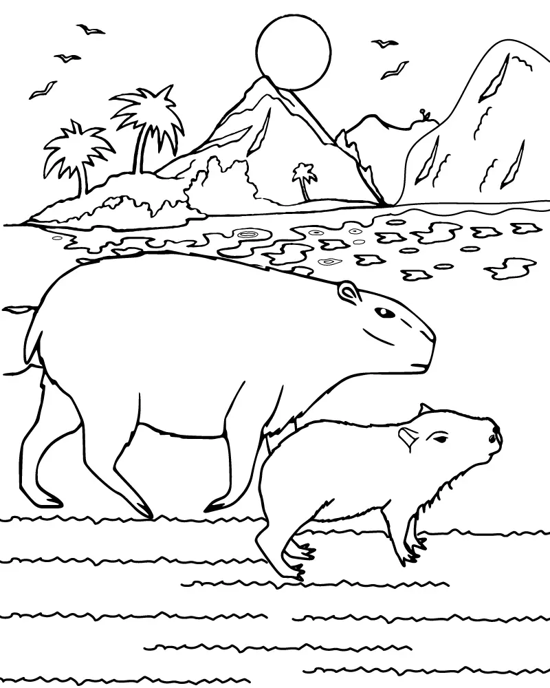 Capivara Para Colorir 11