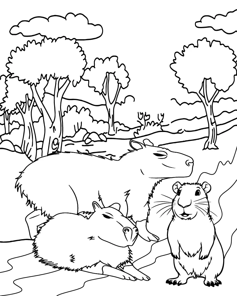 Capivara Para Colorir 12