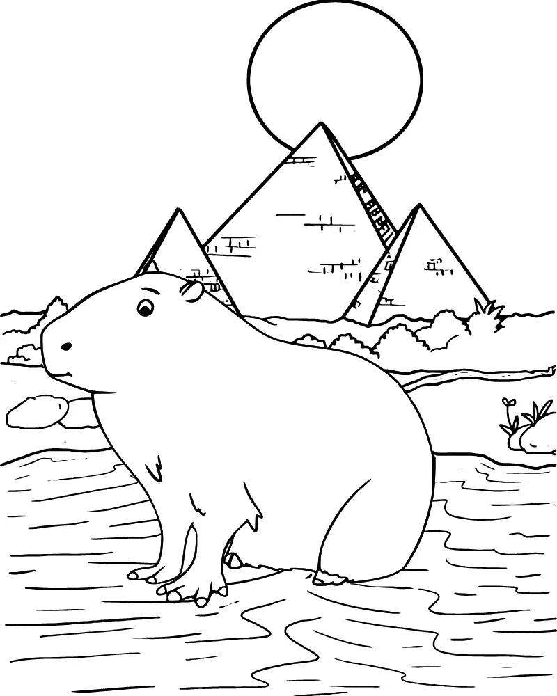 Capivara Para Colorir 5