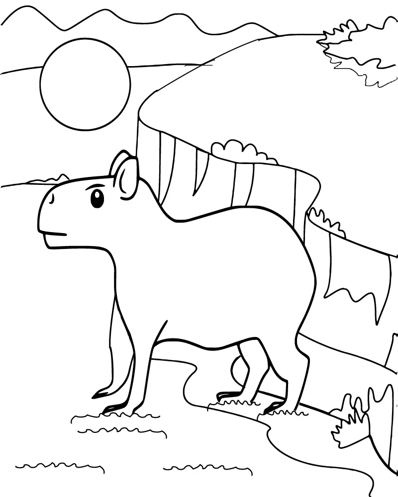 Capivara Para Colorir 7