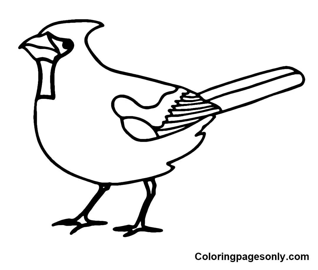 Cardinal Coloring Pages 11