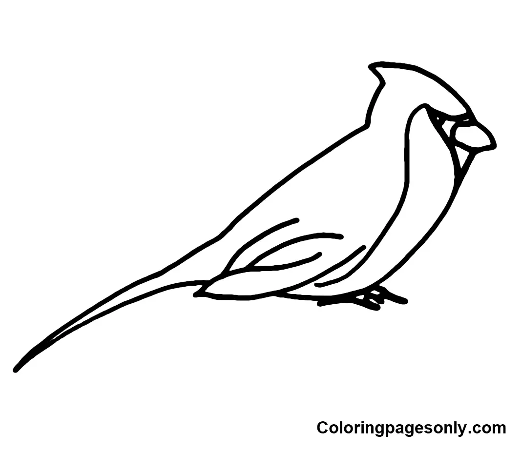 Cardinal Coloring Pages 17