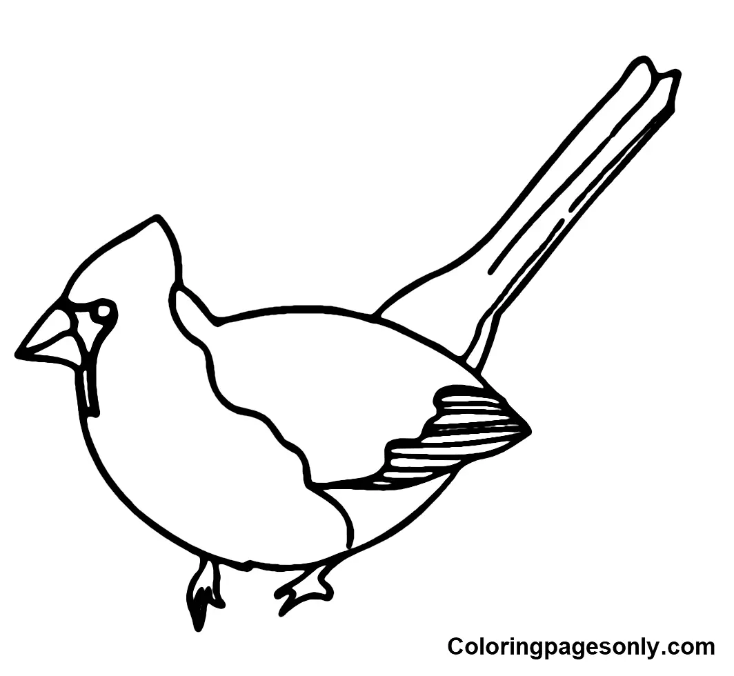 Cardinal Coloring Pages 21