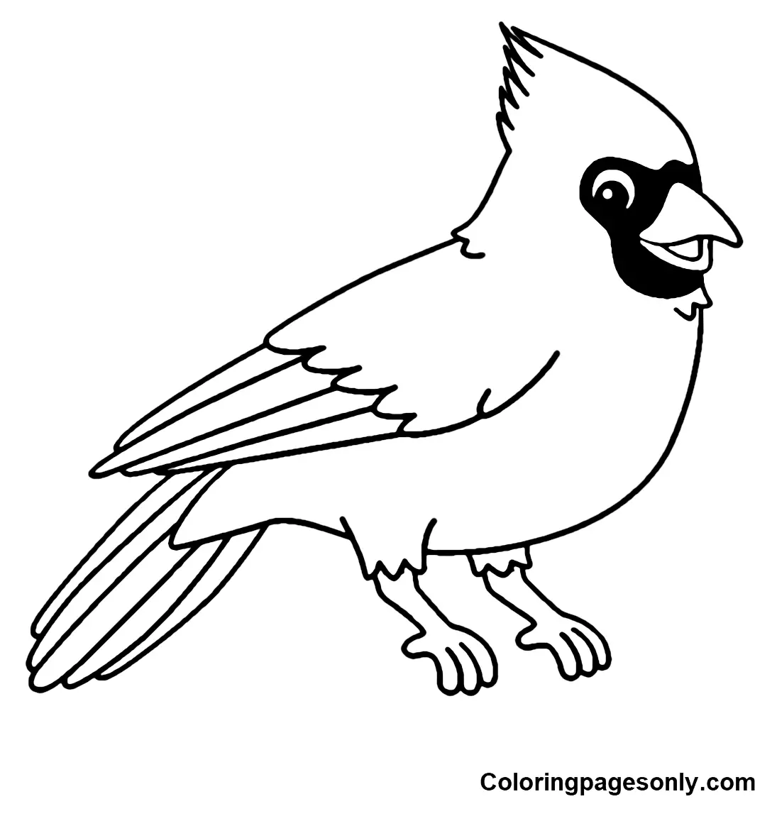 Cardinal Coloring Pages 3