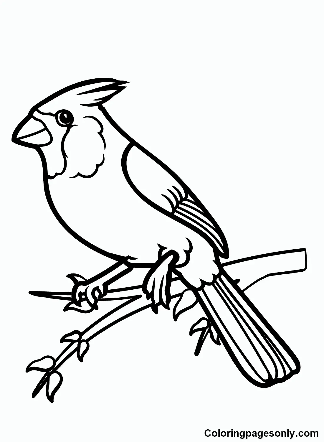 Cardinal Coloring Pages 5