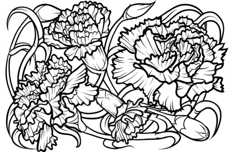 Carnation Coloring Pages 13