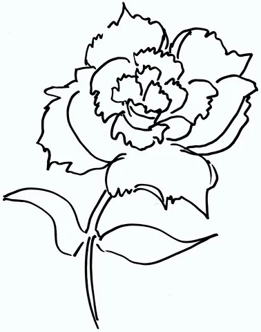 Carnation Coloring Pages 7