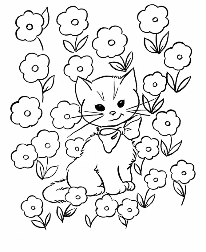 Cat Coloring Pages 101