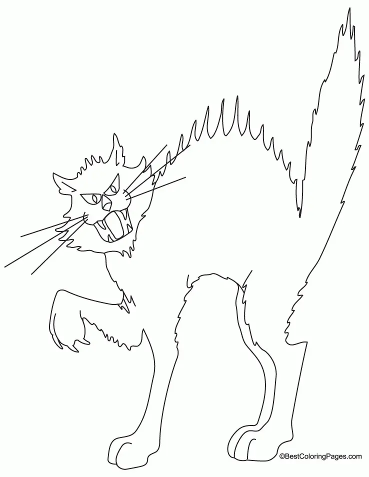 Cat Coloring Pages 108