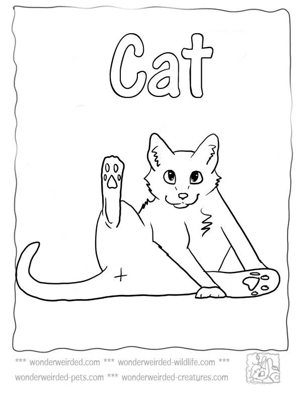 Gatos Para Colorear 113