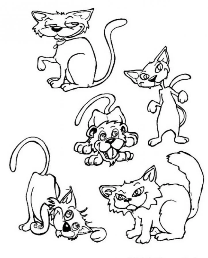 Cat Coloring Pages 122