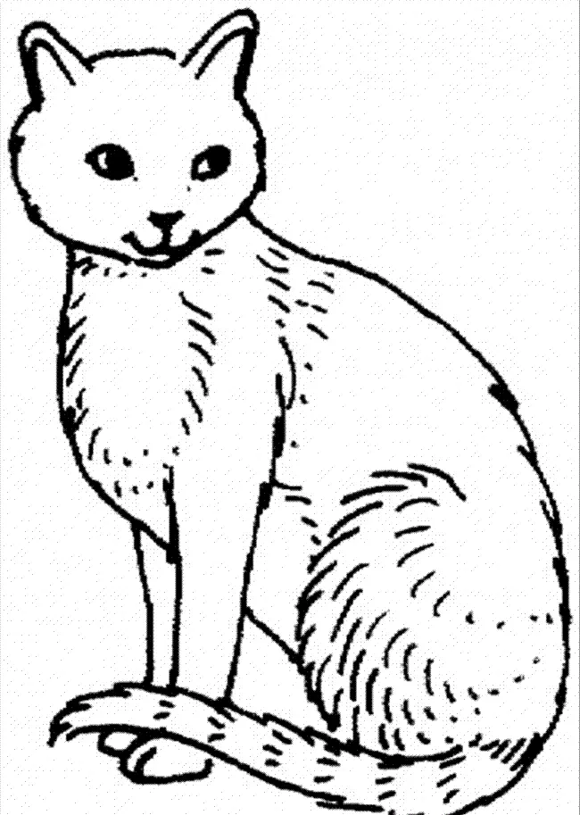 Cat Coloring Pages 60