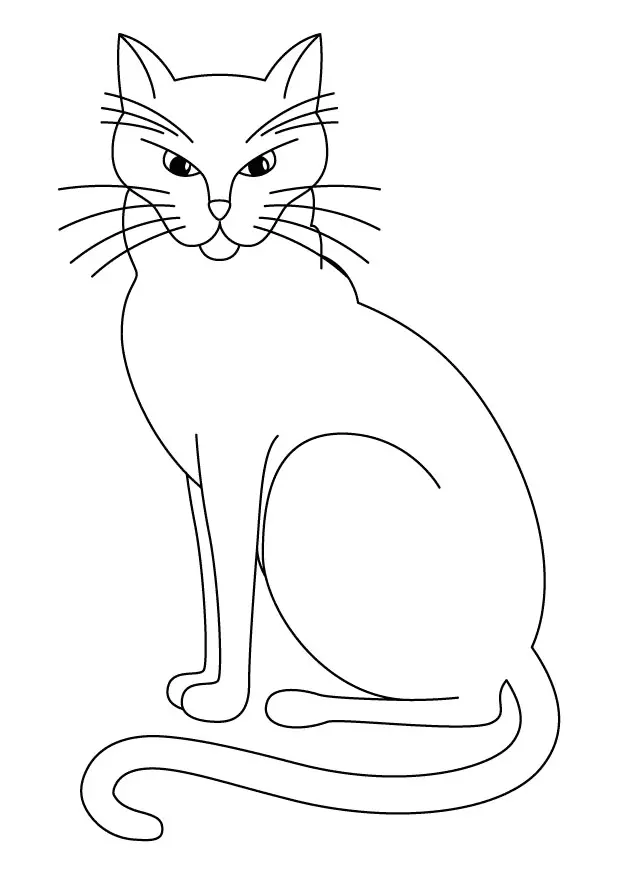 Desenhos de Cat Para Colorir 63