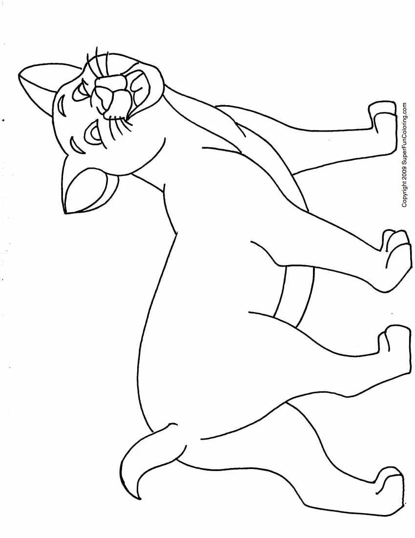 Cat Coloring Pages 64