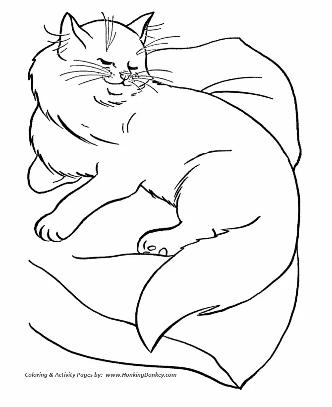 Cat Coloring Pages 71