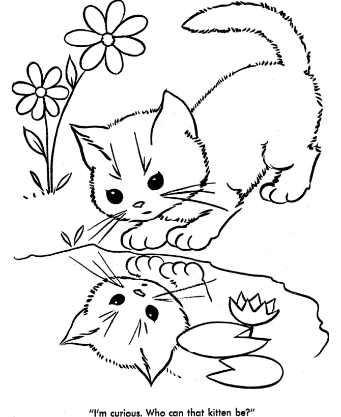 Gatos Para Colorear 76