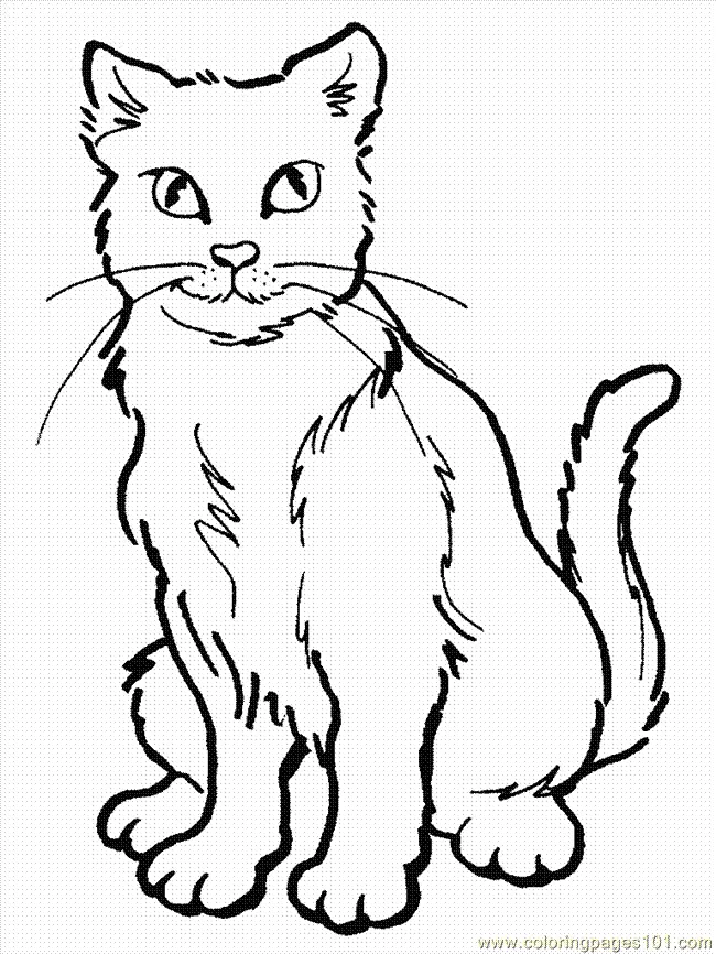 Cat Coloring Pages 8