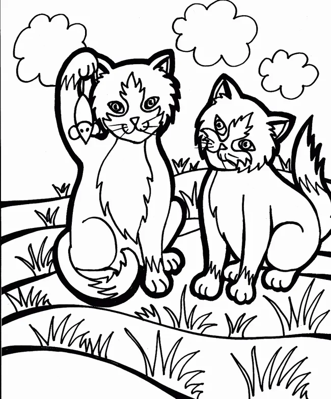 Desenhos de Cat Para Colorir 83