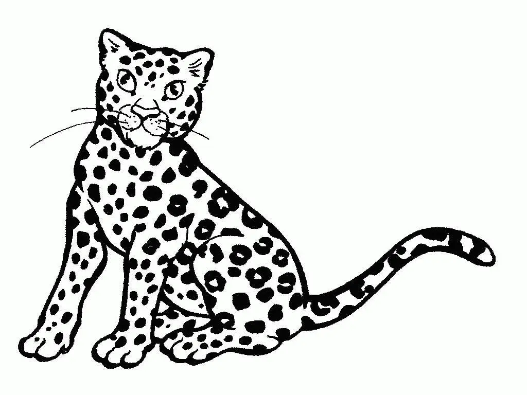 Cheetah Coloring Pages 27