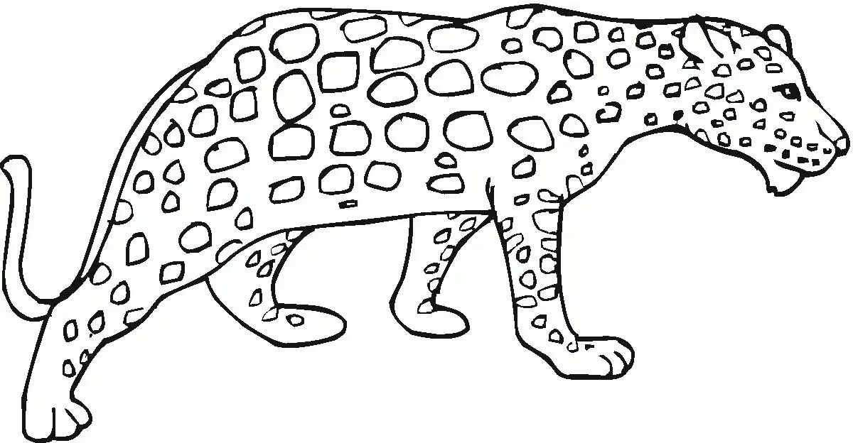 Cheetah Coloring Pages 35