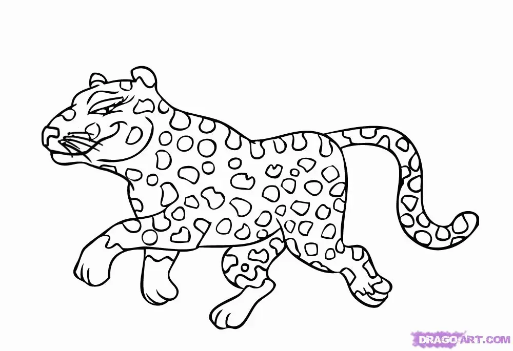 Cheetah Coloring Pages 75