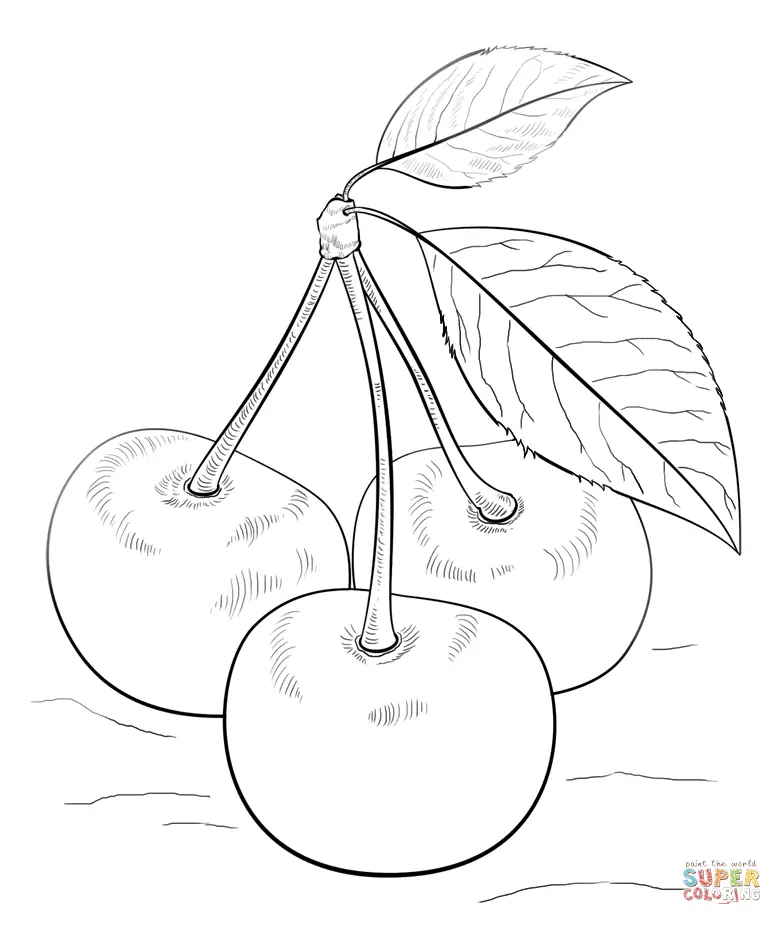 Cherry Coloring Pages 30