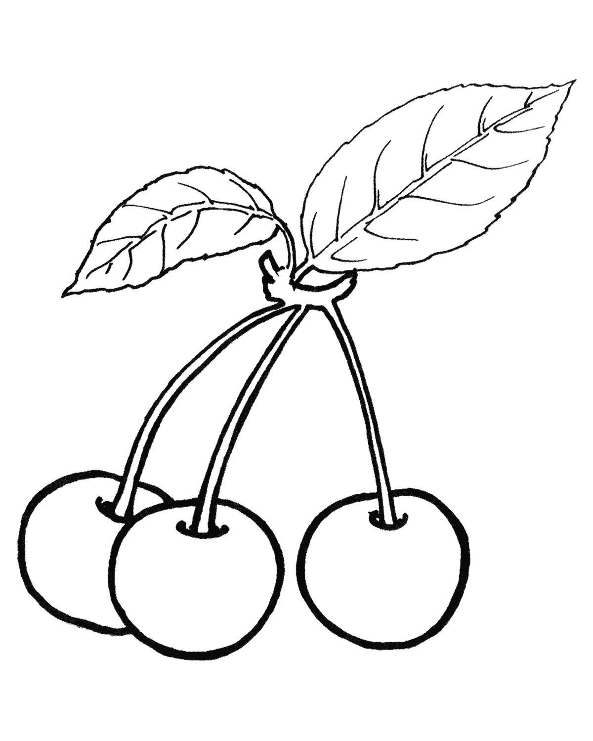 Cherry Coloring Pages 9