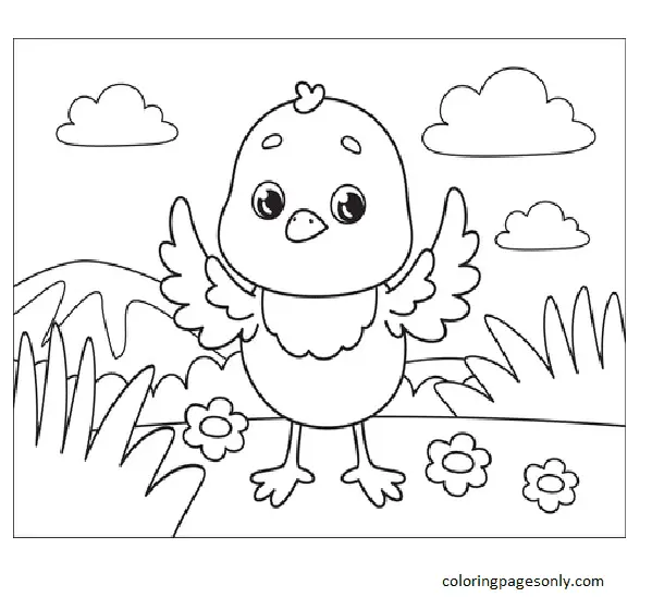 Desenhos de Frango Para Colorir 15