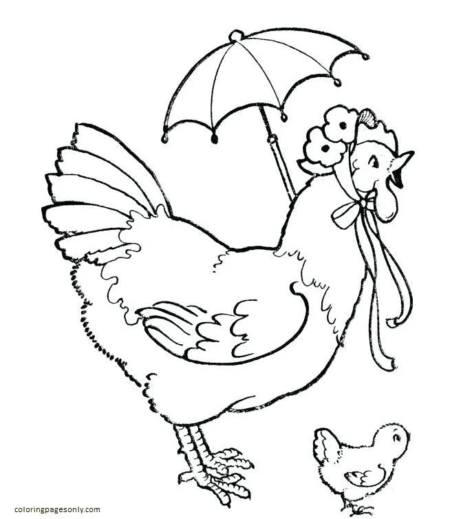 Desenhos de Frango Para Colorir 16