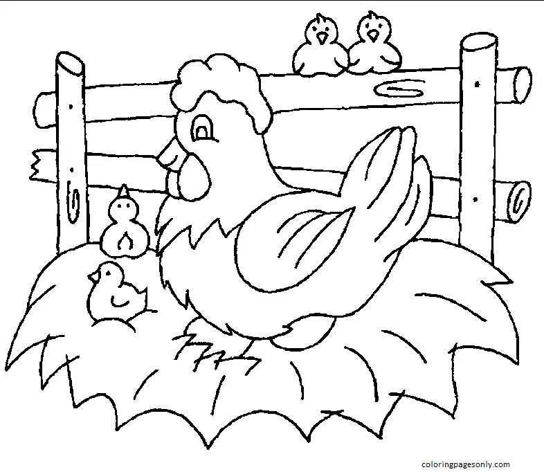 Desenhos de Frango Para Colorir 23