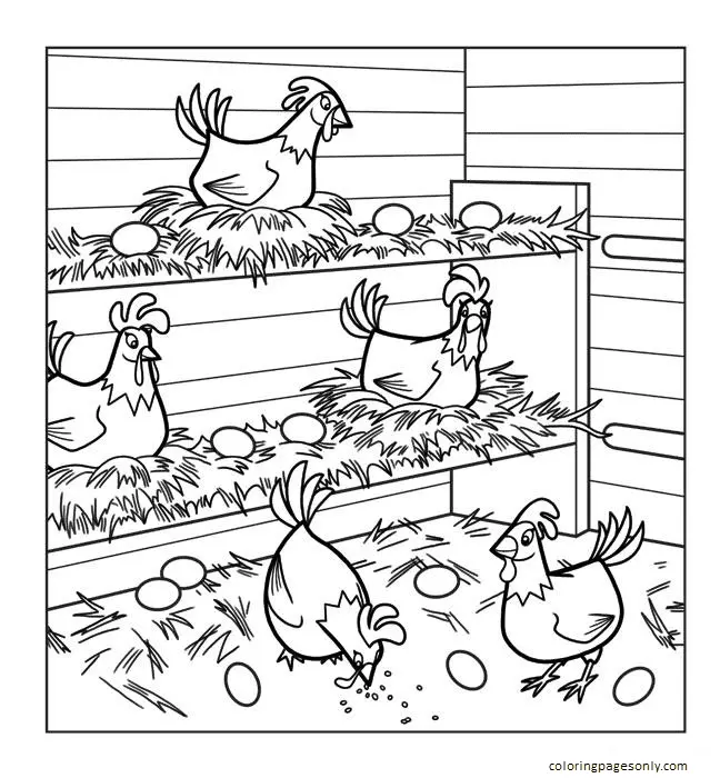 Desenhos de Frango Para Colorir 28