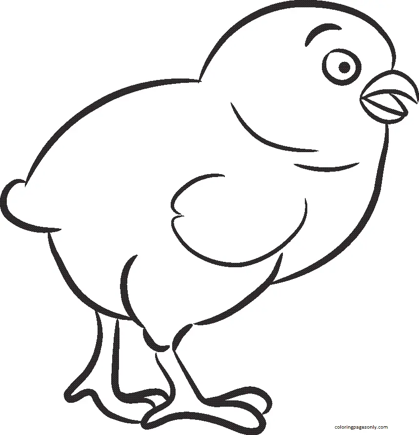 Desenhos de Frango Para Colorir 9