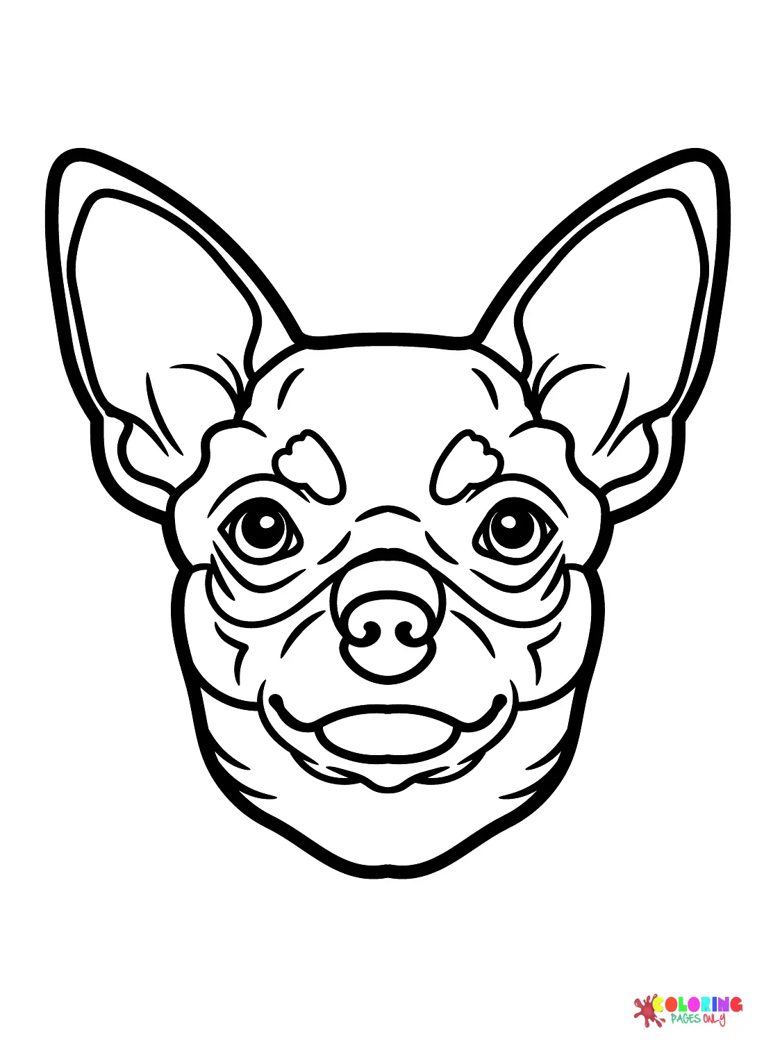 Chihuahua Coloring Pages 13