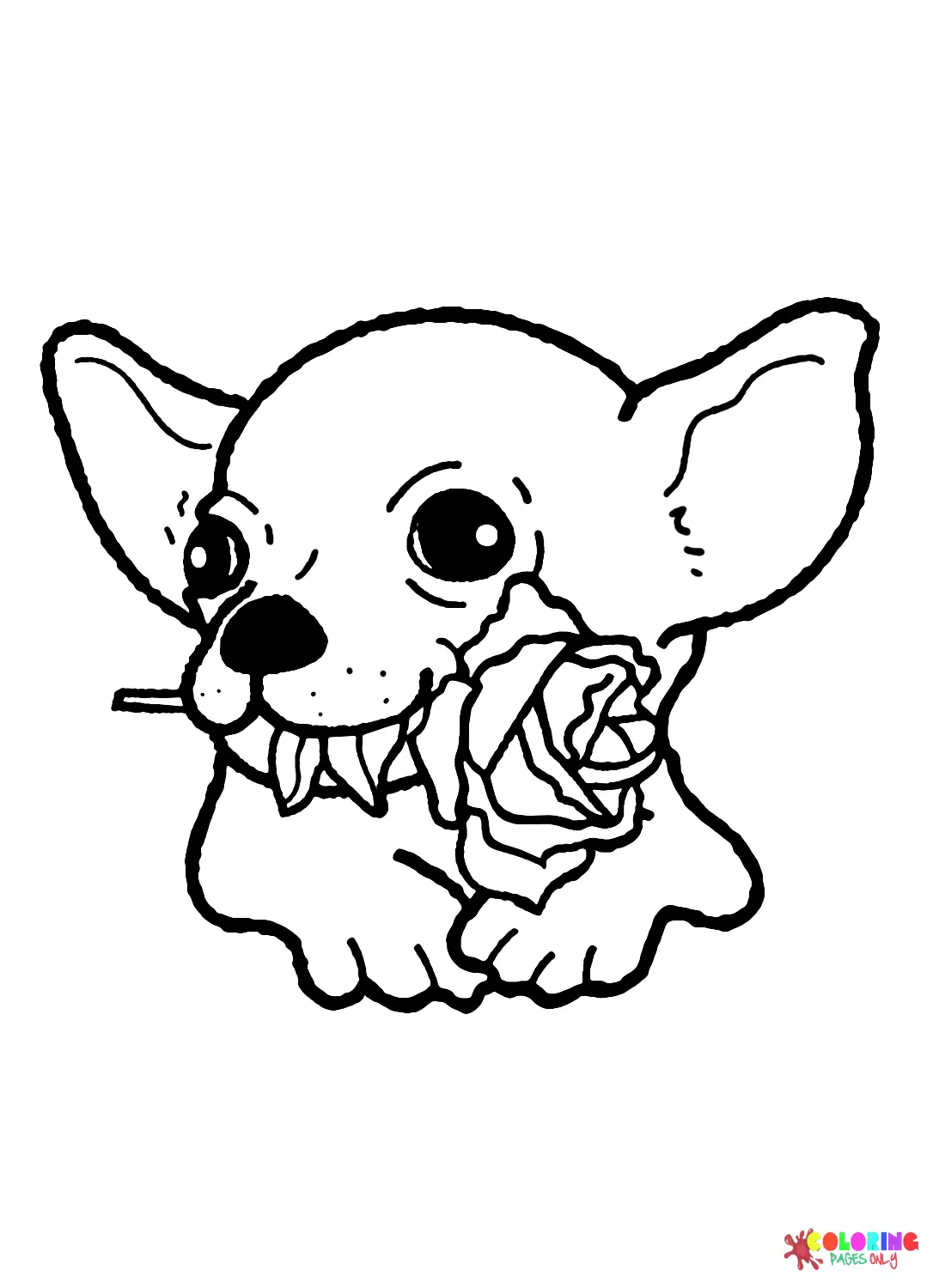 Chihuahua Coloring Pages 2