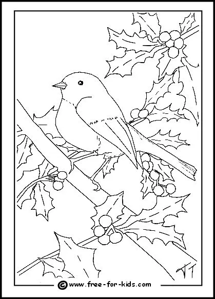 Christmas Birds Coloring pages 4