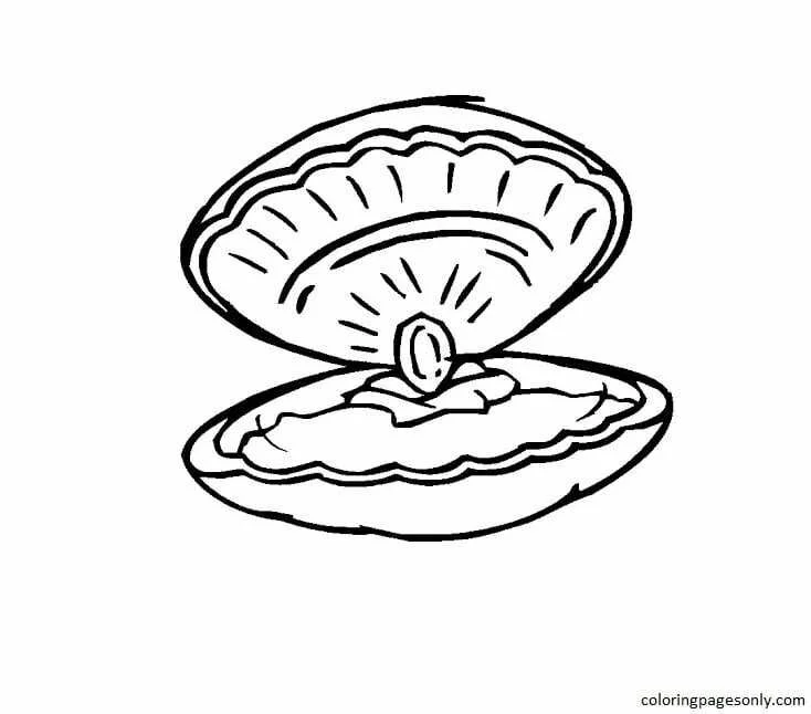 Clam Coloring Pages 17